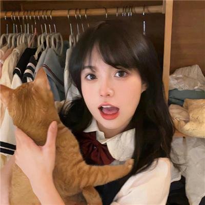 囧途囧行